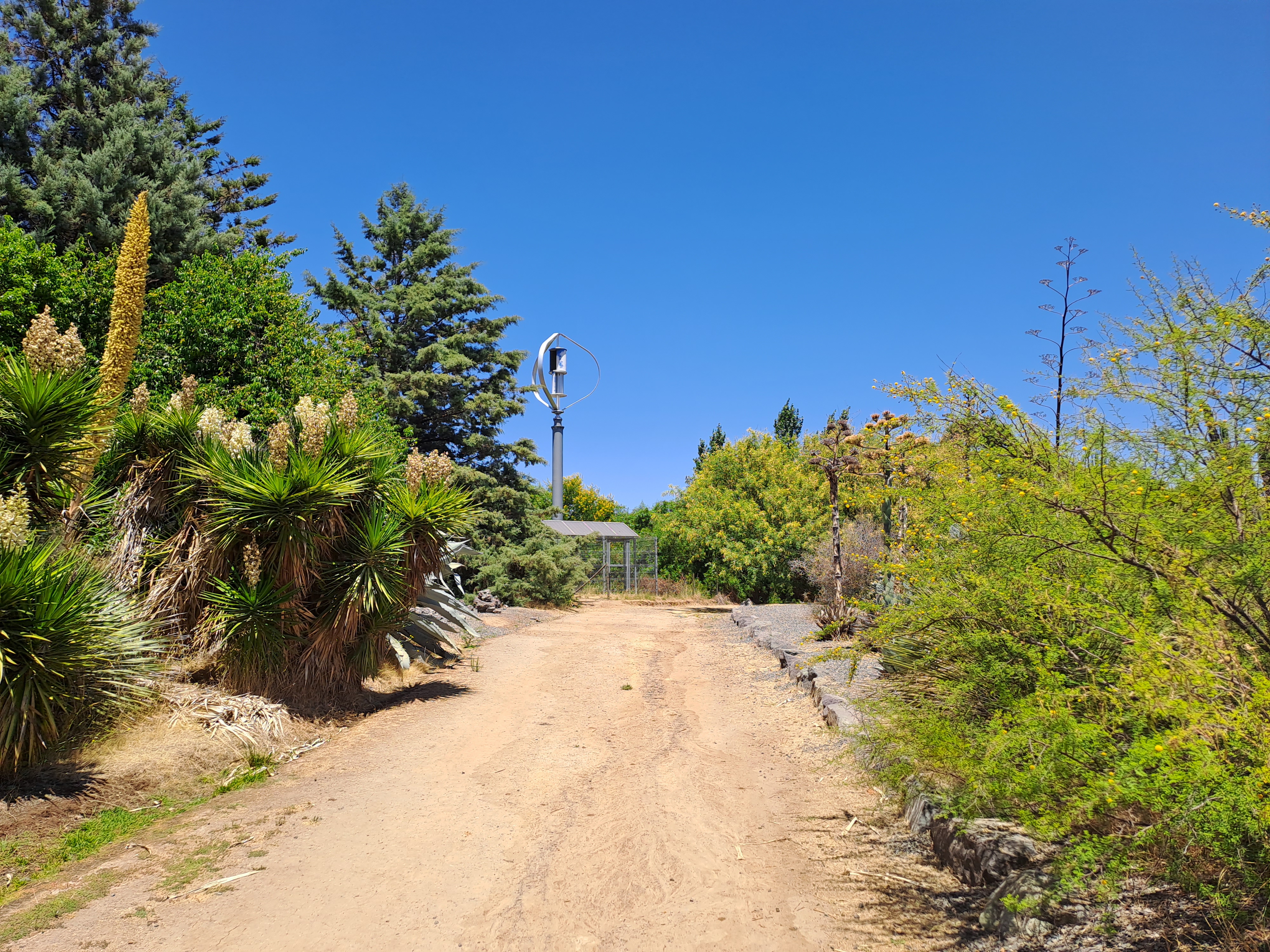 Fotografía de un sector del sendero al costado de vegetación
